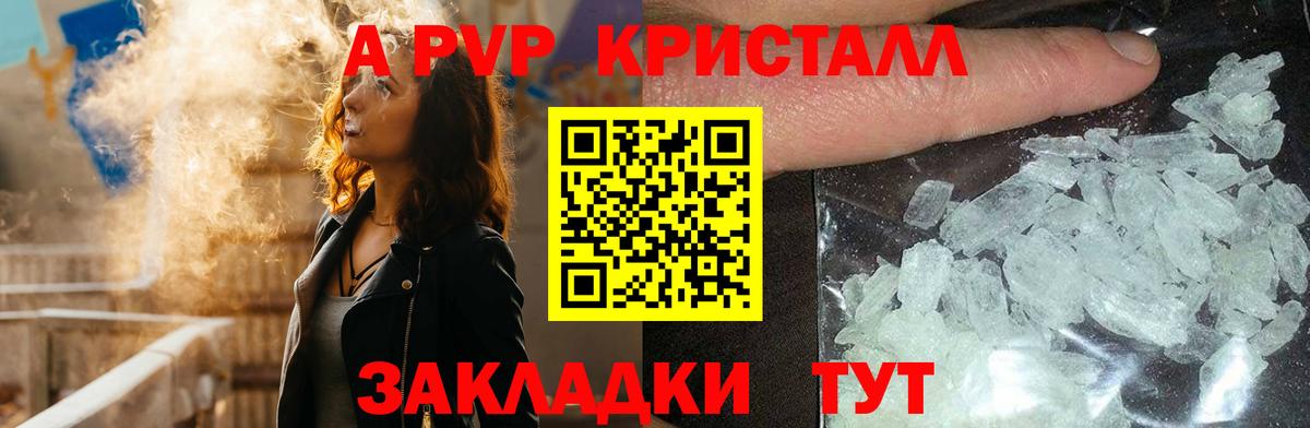 A-PVP СК КРИС Шадринск