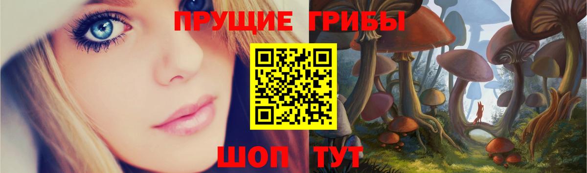Галлюциногенные грибы мицелий Шадринск