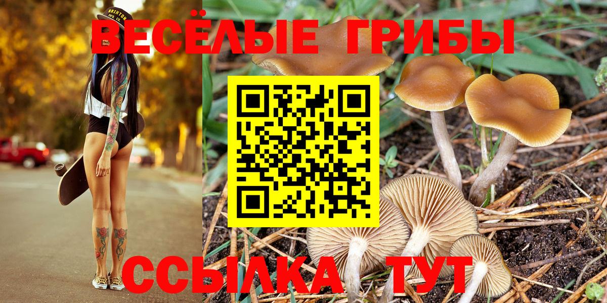 Псилоцибиновые грибы прущие грибы  Галлюциногенные грибы прущие грибы  Шадринск  Вход с VPN 