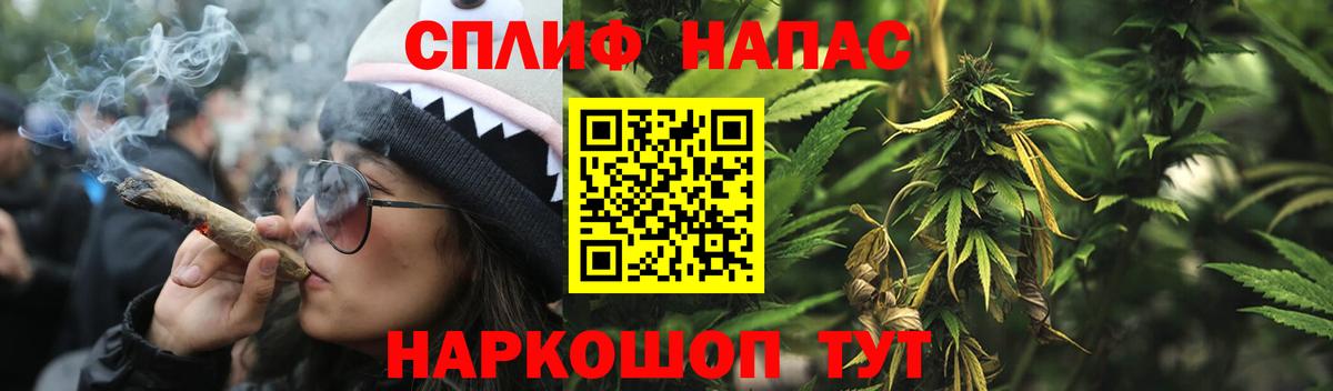 Конопля VHQ  Каннабис семена  Канабис MAZAR  Бошки Шишки сатива  Вход с VPN  Шадринск 